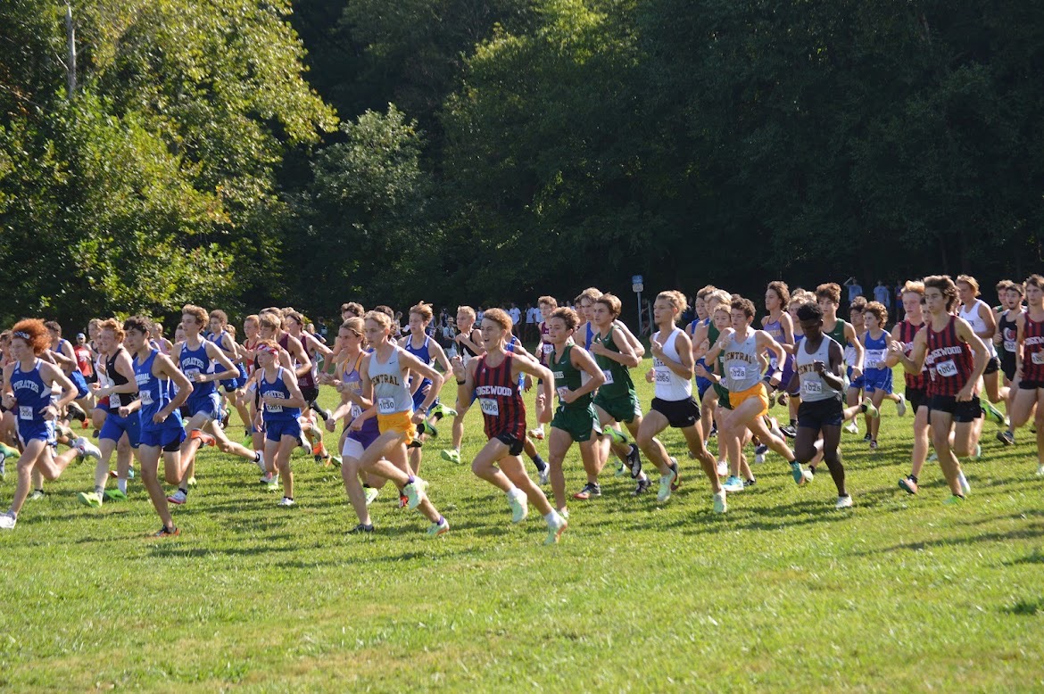 Start of XC Race